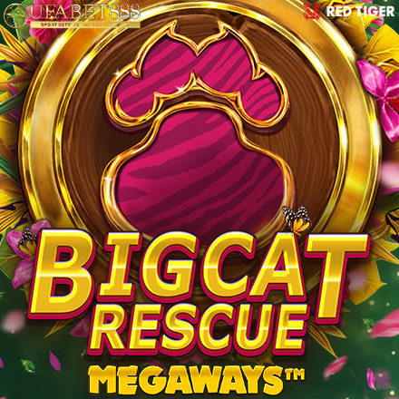 FP Big Cat Rescue