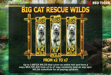 ฟีเจอร์ BigCat Rescue Wilds