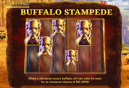 ฟีเจอร์ Buffalo Stampede BM