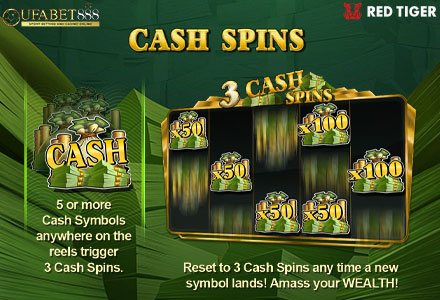ฟีเจอร์ Cash Spins