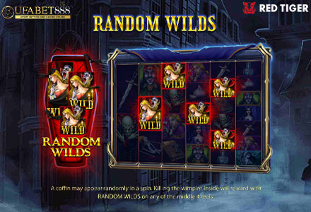 ฟีเจอร์ Random Wilds BS