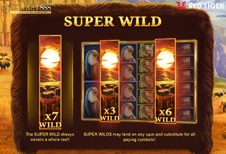 ฟีเจอร์ Super Wild BM