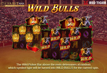ฟีเจอร์ Wild Bulls BR