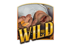 สัญลักษณ์ Wild BB