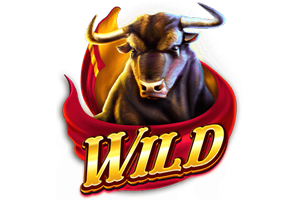 สัญลักษณ์ Wild BR