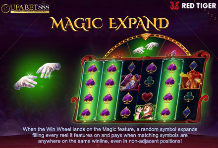 ฟีเจอร์ Magic Expand