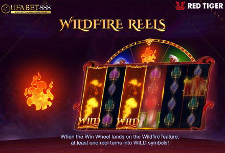 ฟีเจอร์ WildFire Reels