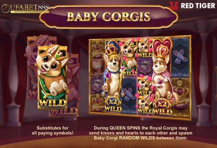 ฟีเจอร์ Baby Corgis