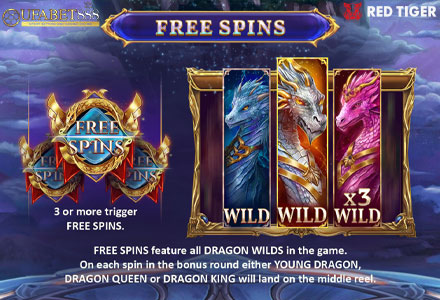 ฟีเจอร์ Free Spins DM