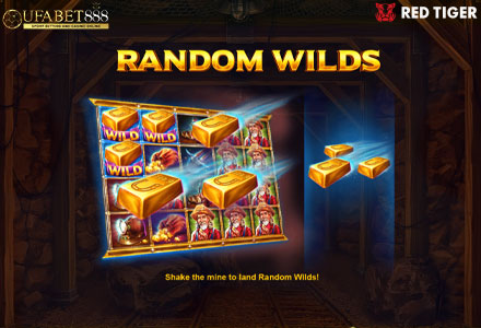 ฟีเจอร์ Random Wilds