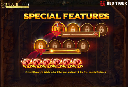 ฟีเจอร์ Special DR
