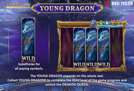 ฟีเจอร์ Young Dragon