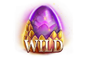สัญลักษณ์ Wild DM